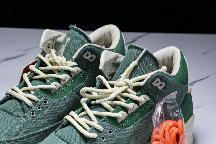 nina Ch*el abney x air jordan 3 fz7974-300