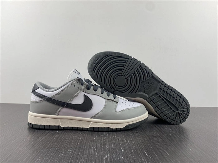Nike Dunk Low Light Smoke Grey DD1503- Minimalist 4798